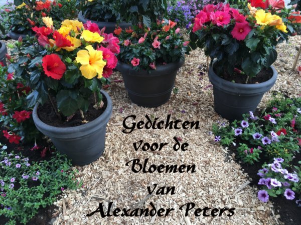53-Gedichten voor de Bloemen van Alexander Peters