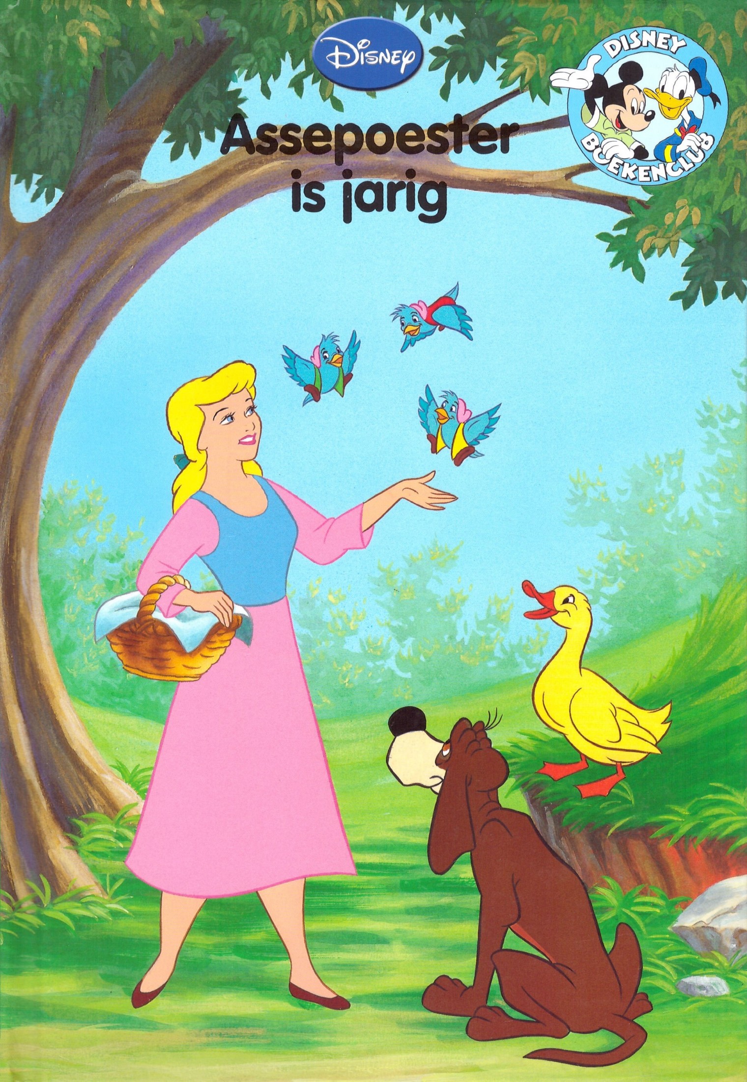 Assepoester is jarig