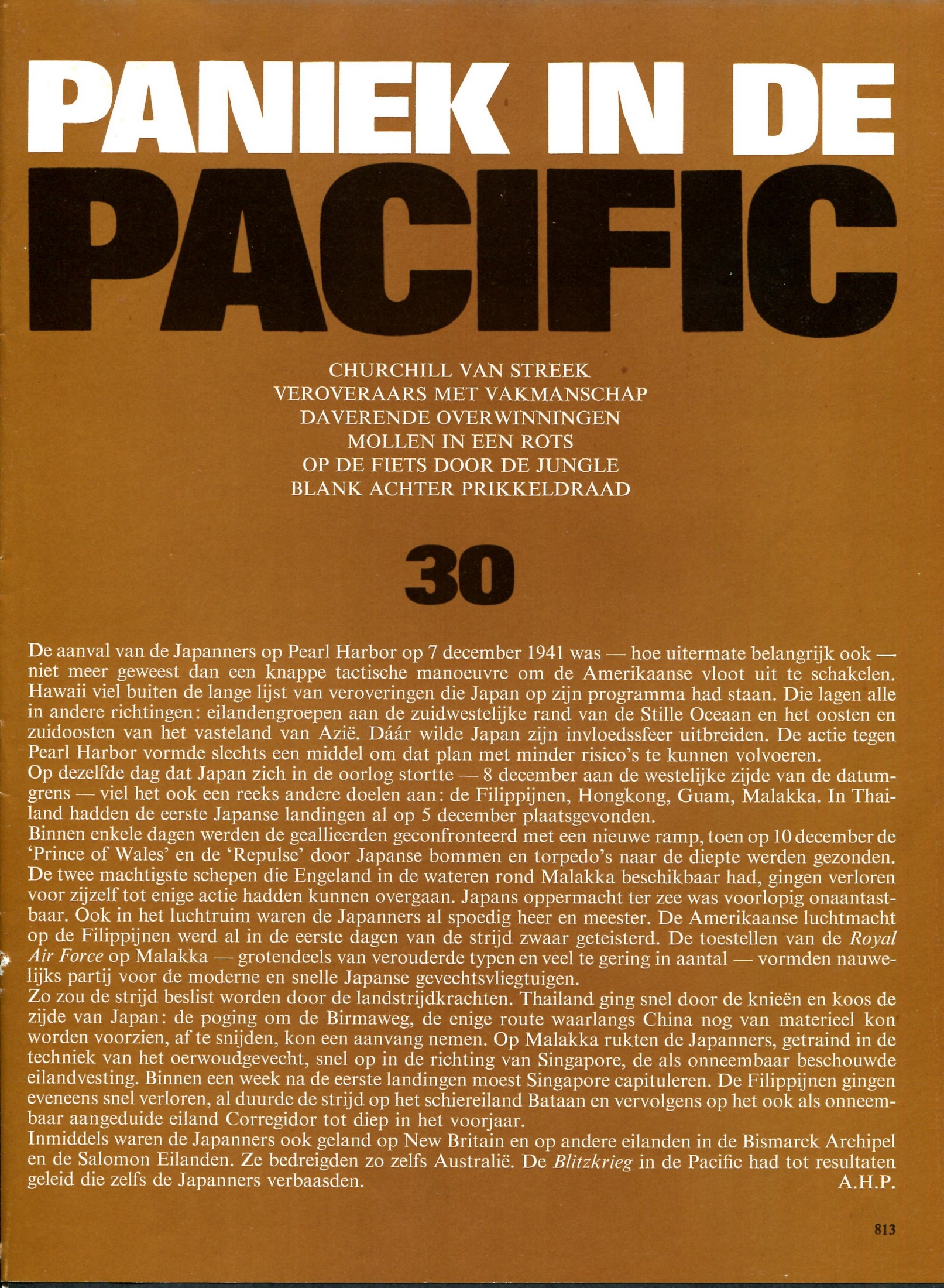 ACDSee PDF Image.