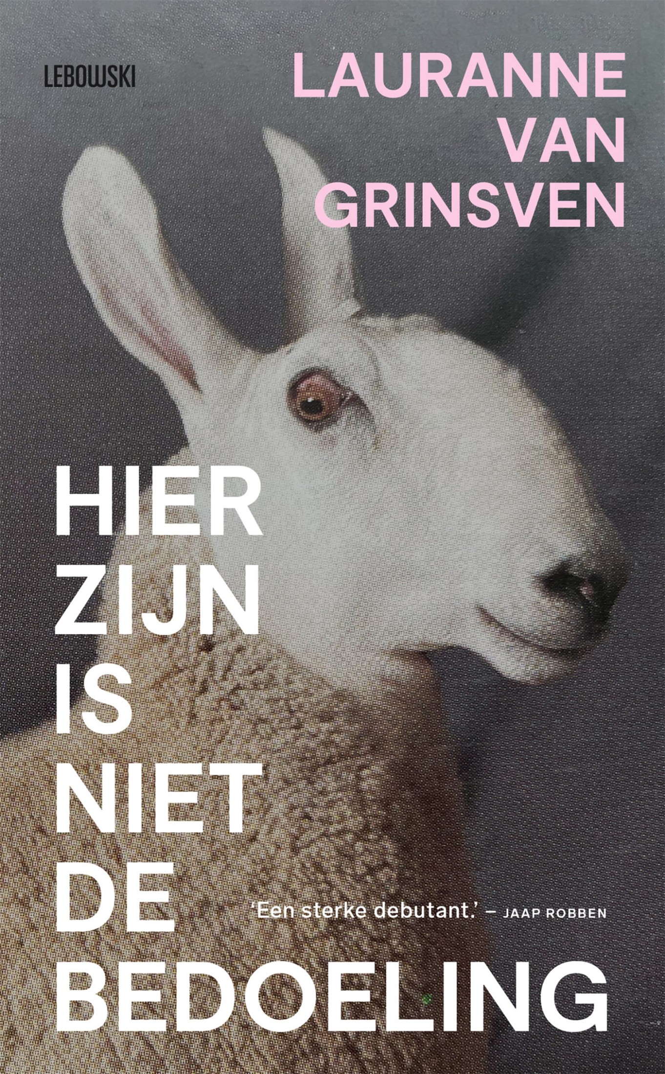 Hier zijn is niet de bedoeling
