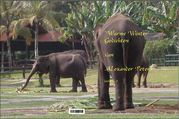 11-Warme winter Gedichten van Alexander Peters