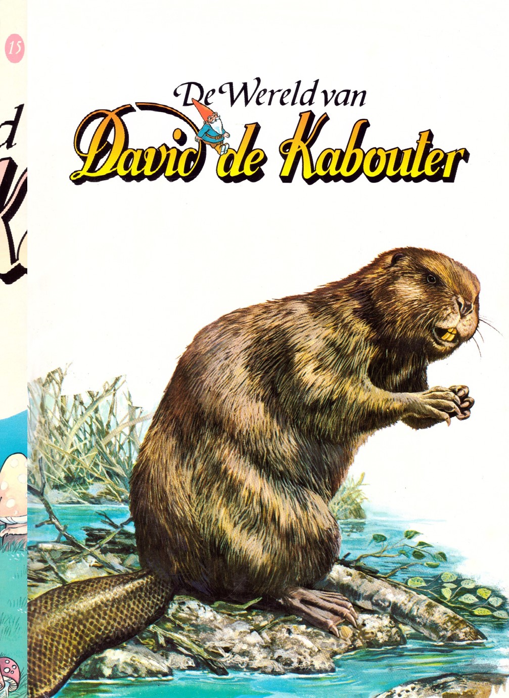 De Wereld van David de Kabouter boek 15