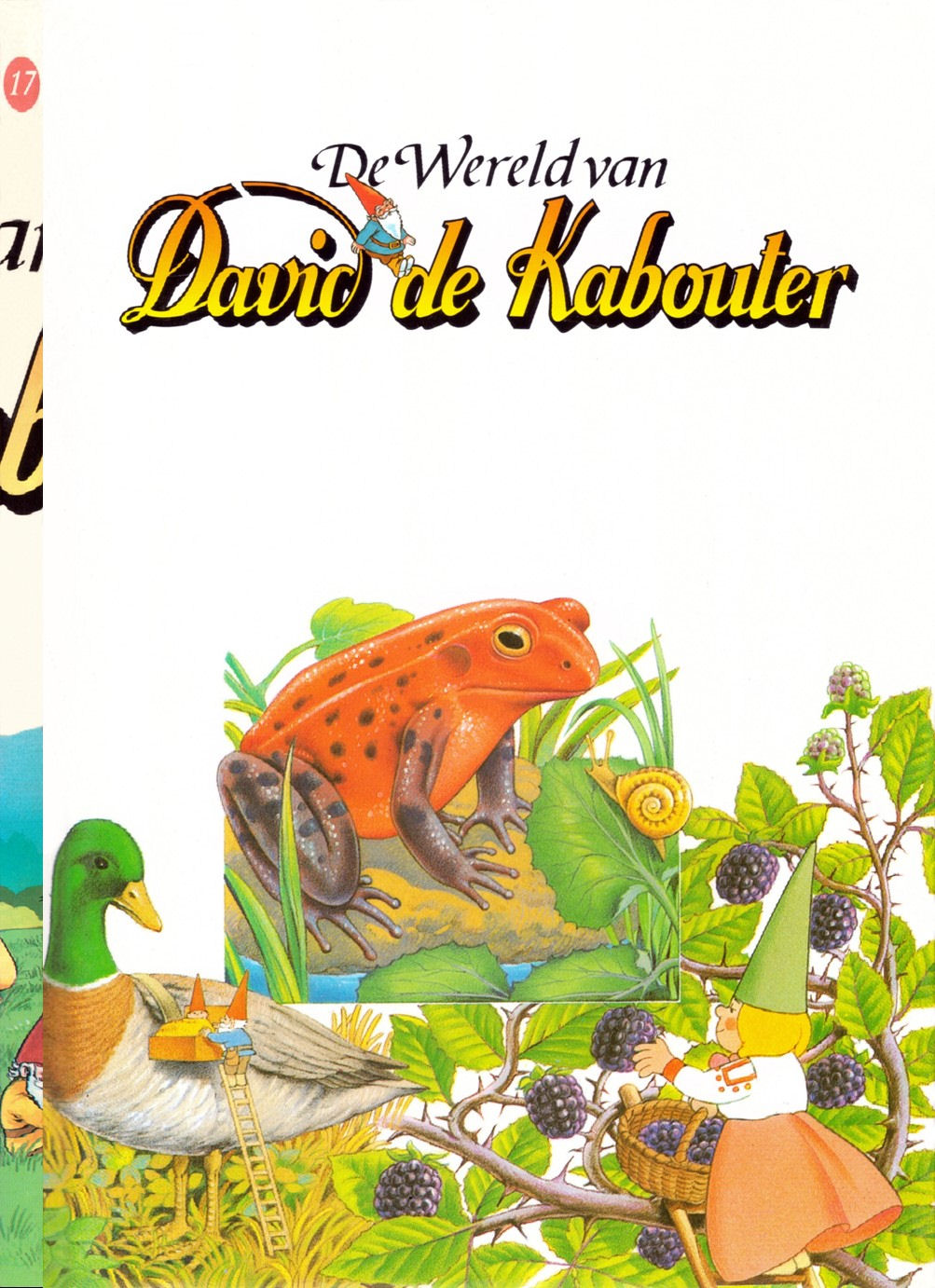De Wereld van David de Kabouter boek 17