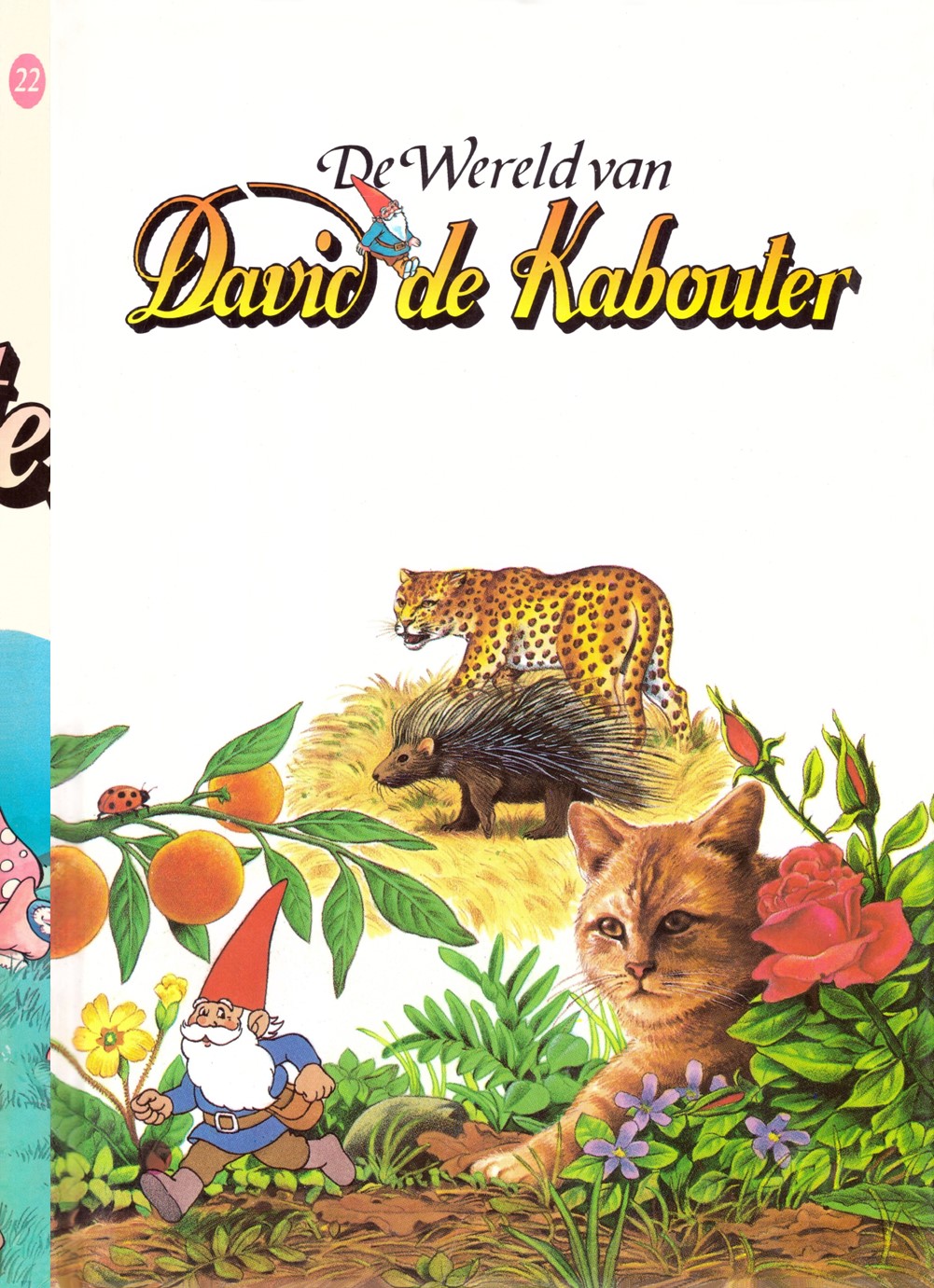 De Wereld van David de Kabouter boek 22