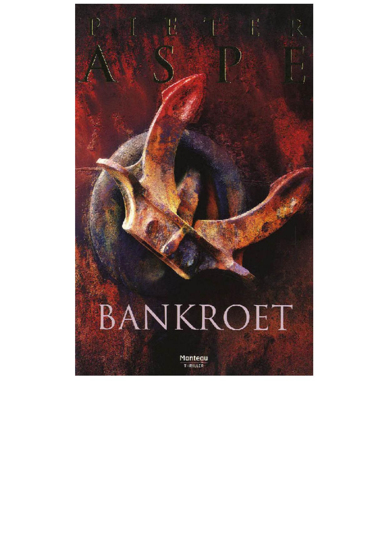 Van In reeks 23 (2008) Bankroet