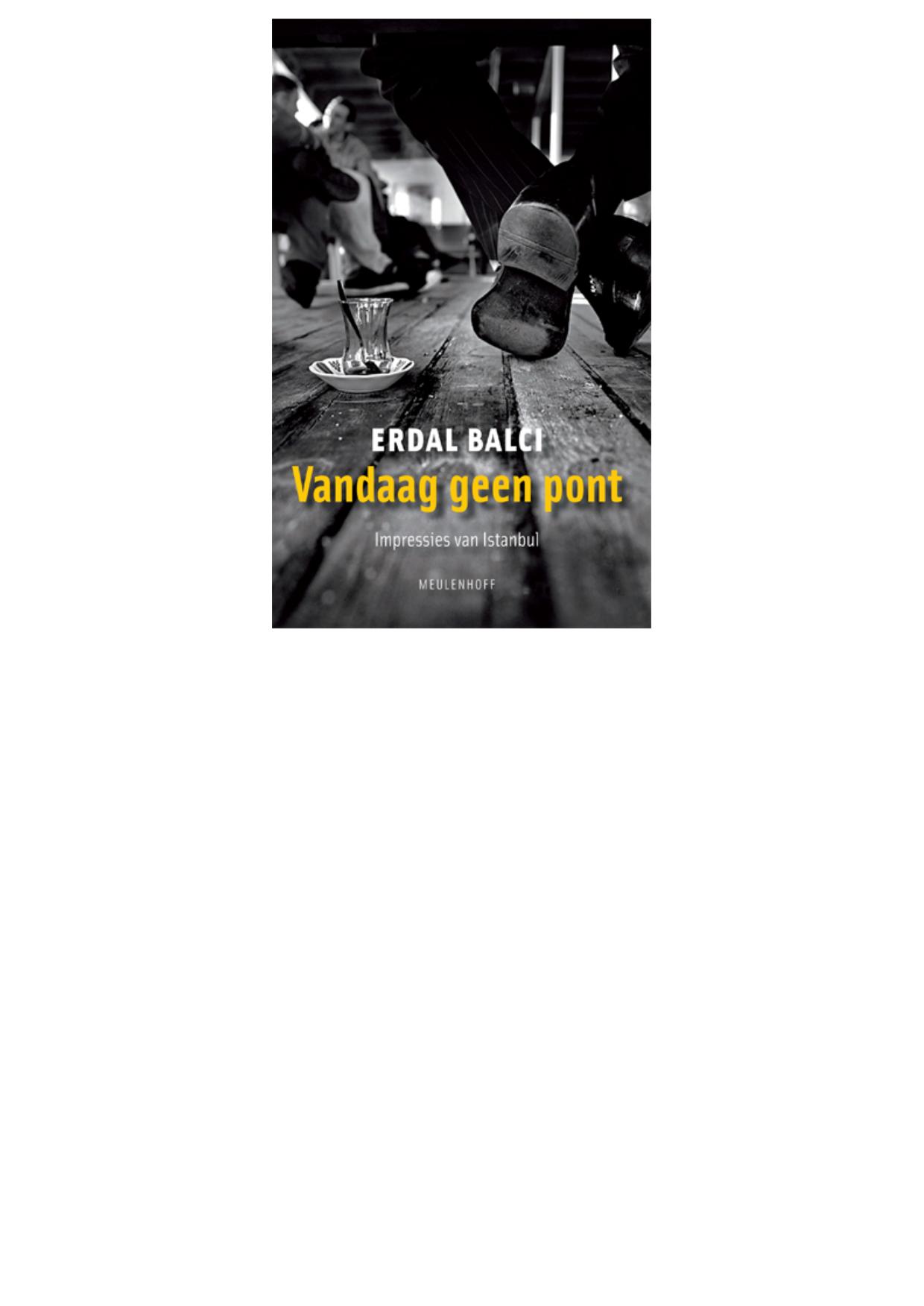 Vandaag geen pont