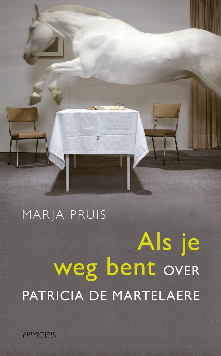 Als je weg bent - over Patricia de Martelaere