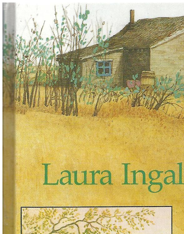 het kleine huis een huis voor Laura deel 8