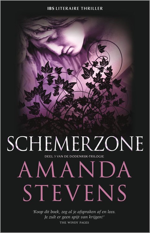 03 Schemerzone