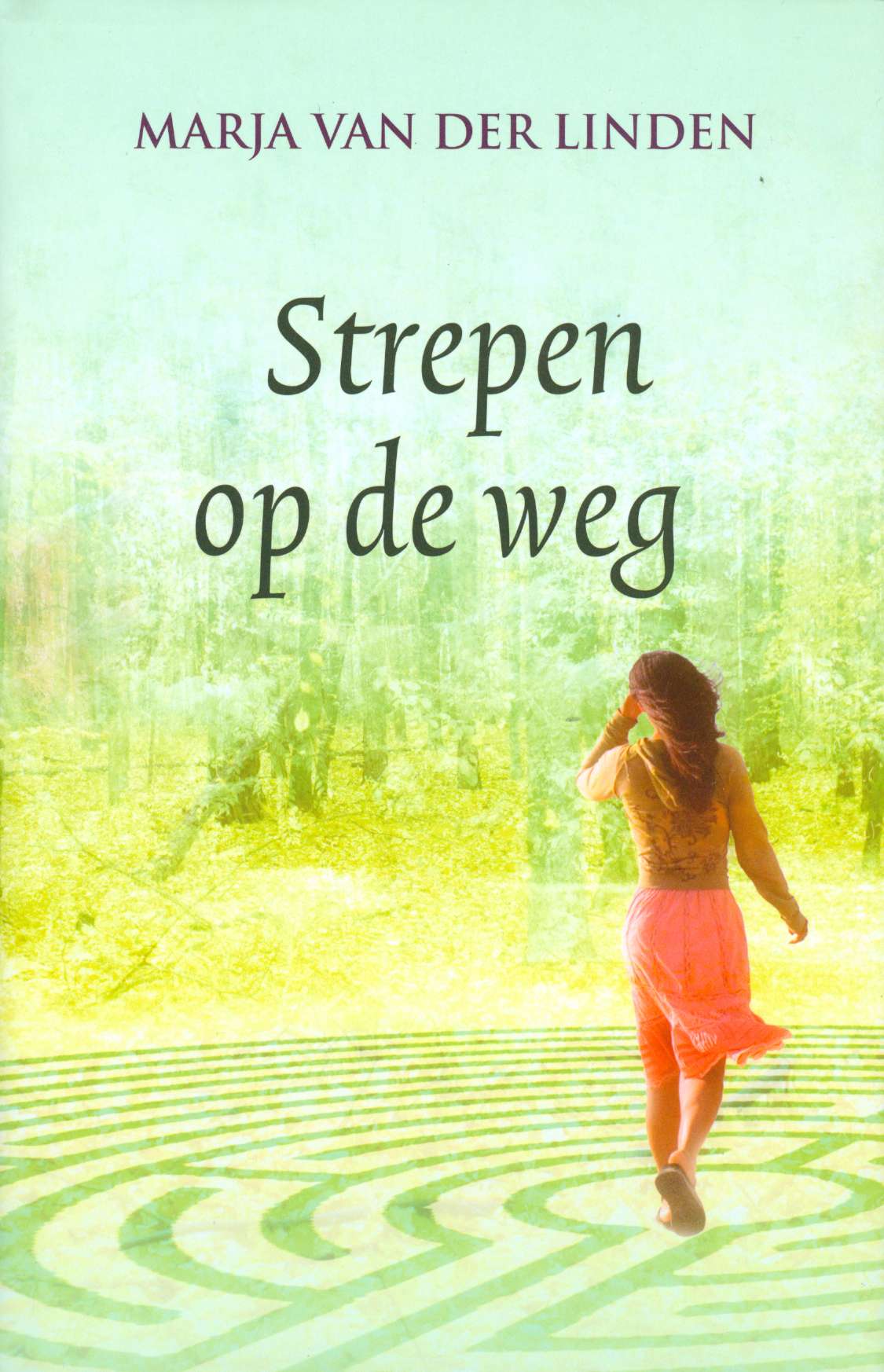 Strepen Op De Weg