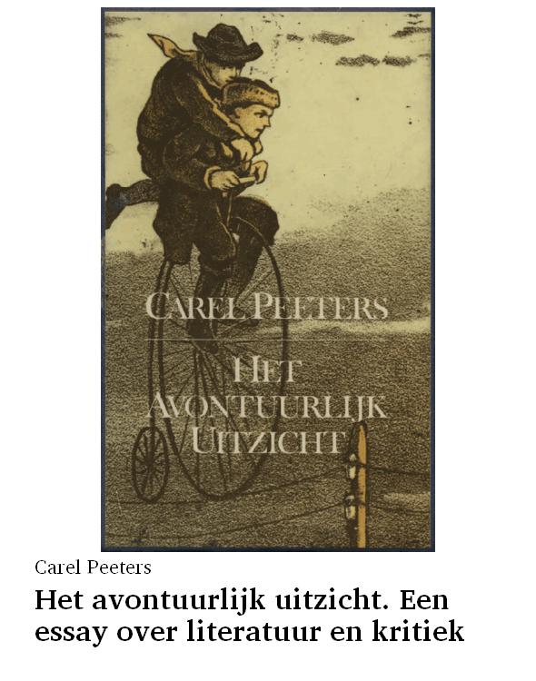 Het avontuurlijk uitzicht. Een essay over literatuur en kritiek