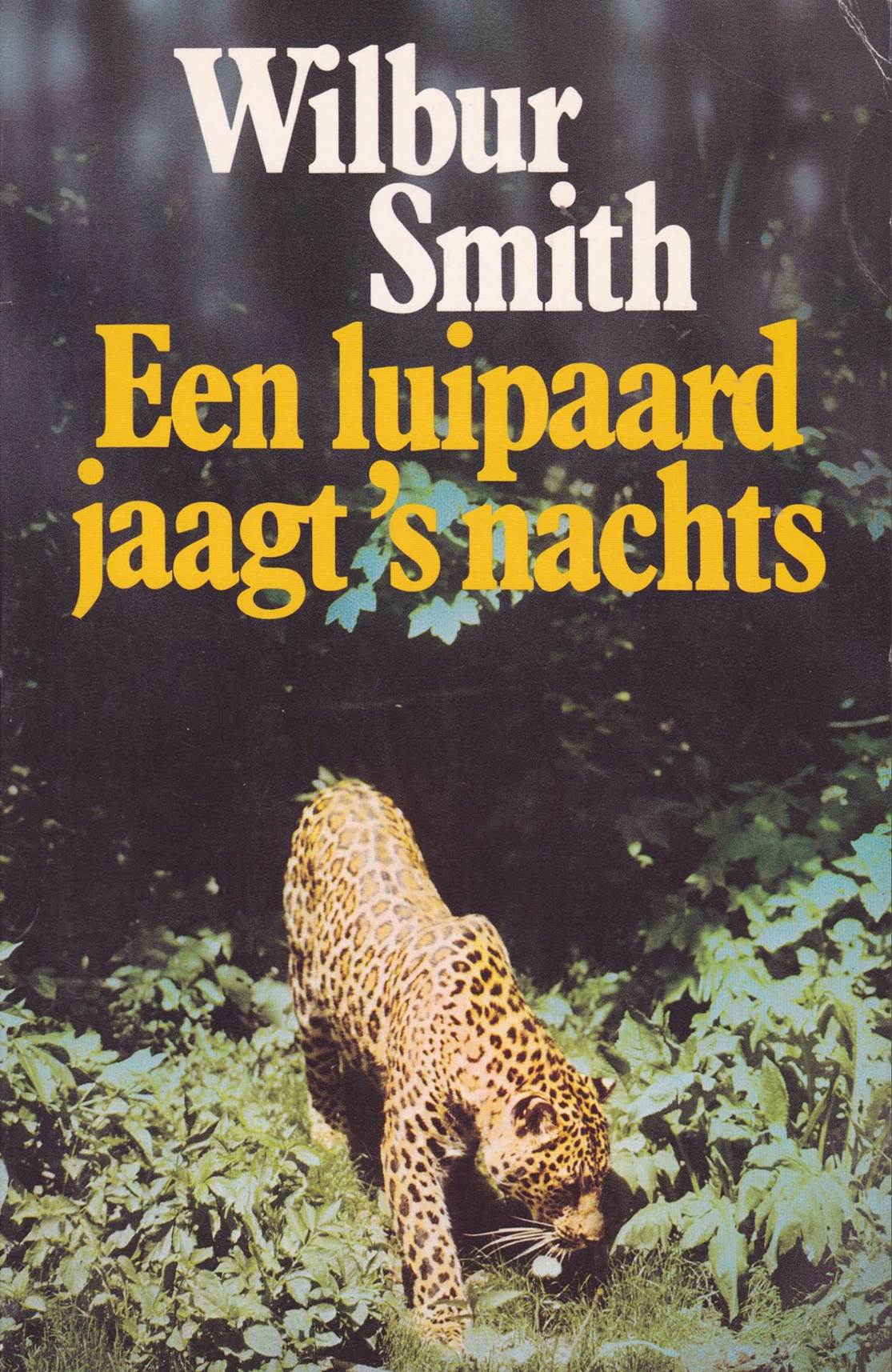 Een Luipaard Jaagt 's Nachts
