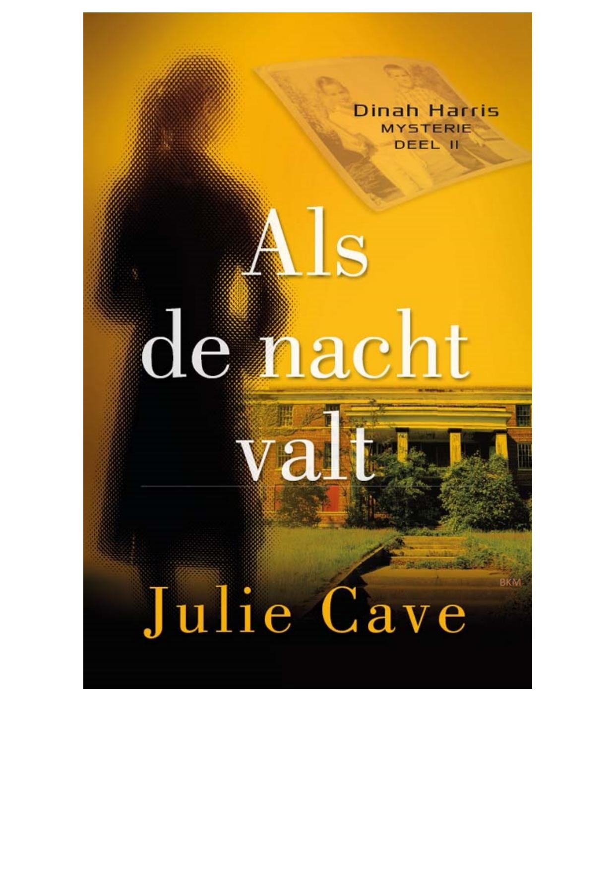 Als de nacht valt