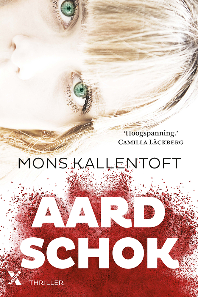 Aardschok