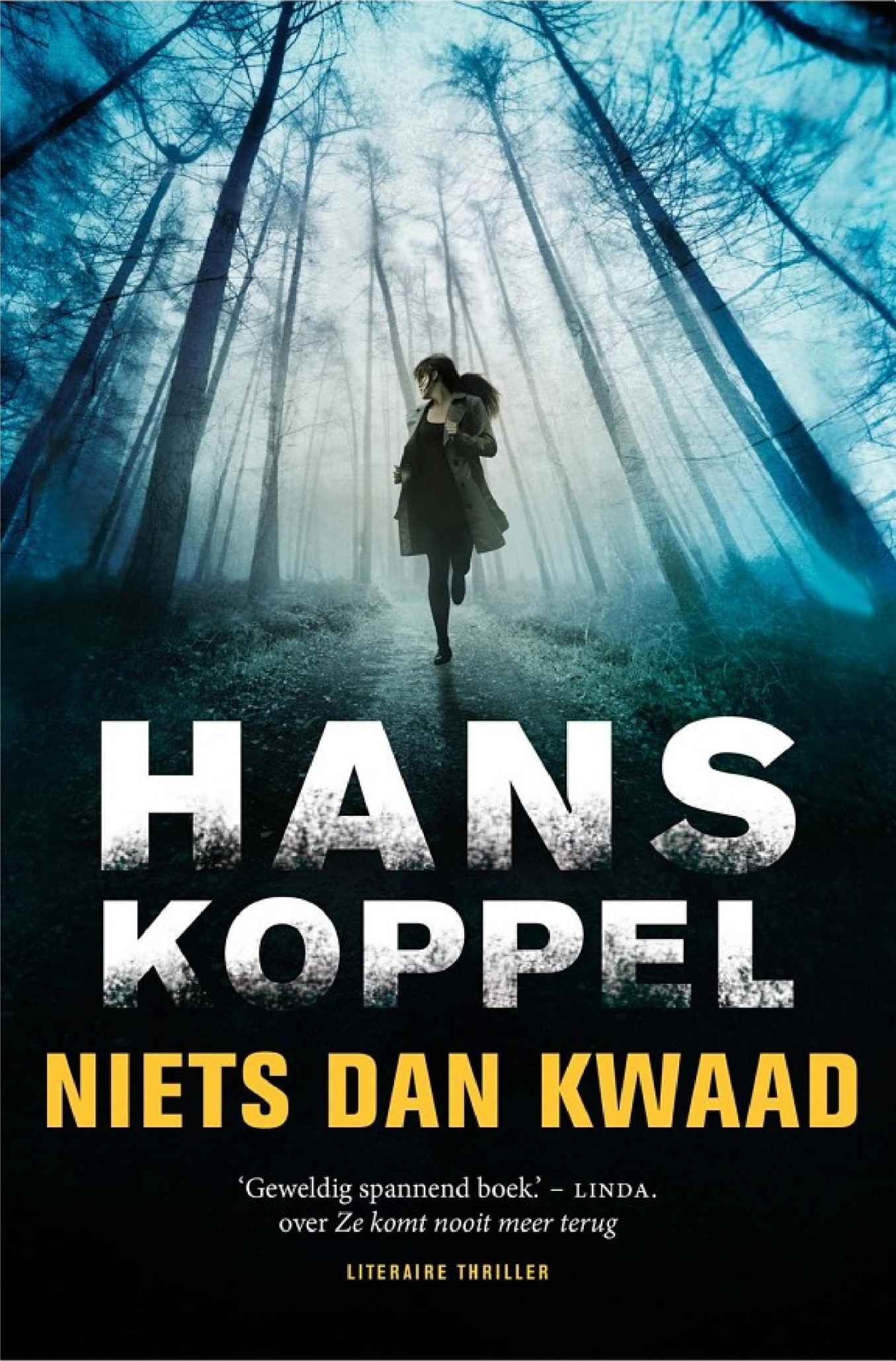 Niets Dan Kwaad