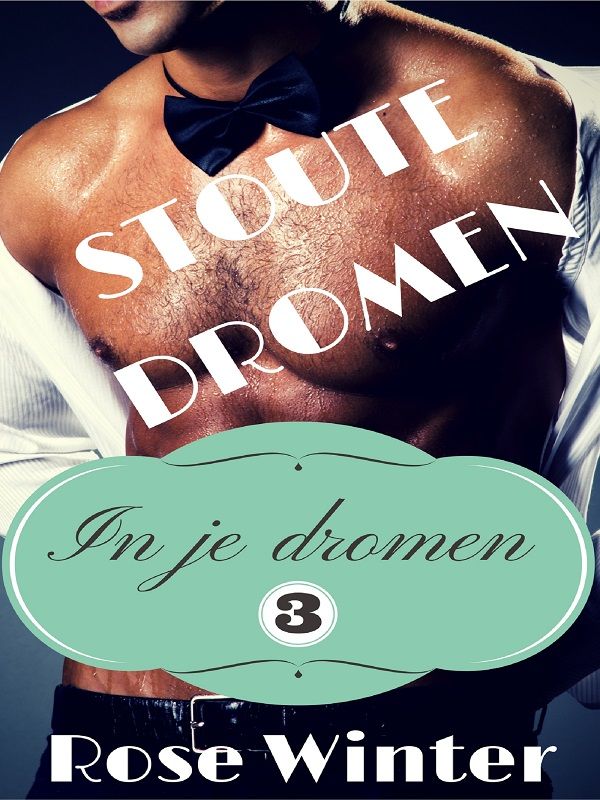 Stoute Dromen, In je dromen III