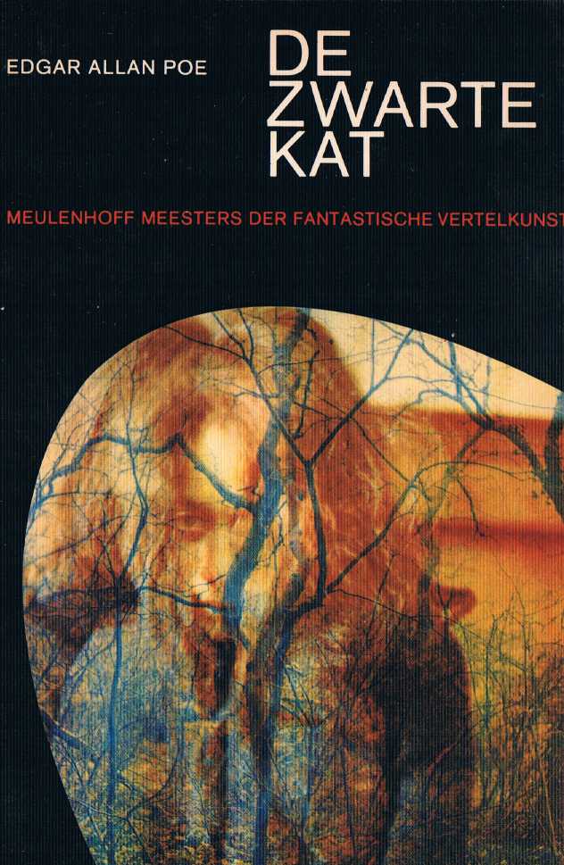 De zwarte Kat