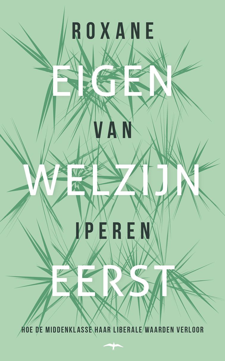 Eigen welzijn eerst: hoe de middenklasse haar liberale waarden verloor