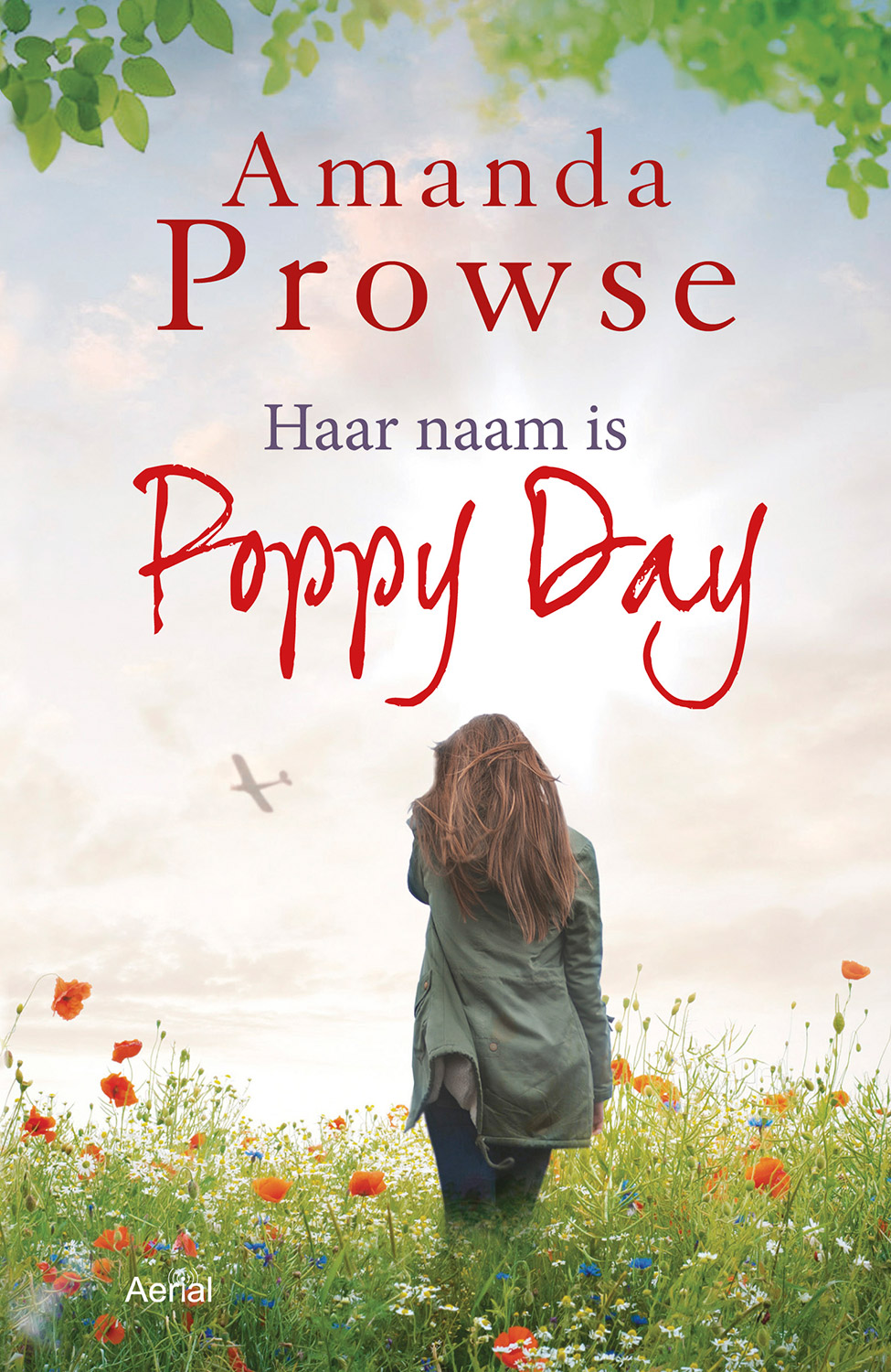 Poppy Day