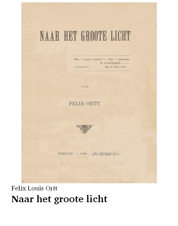 Naar het groote licht