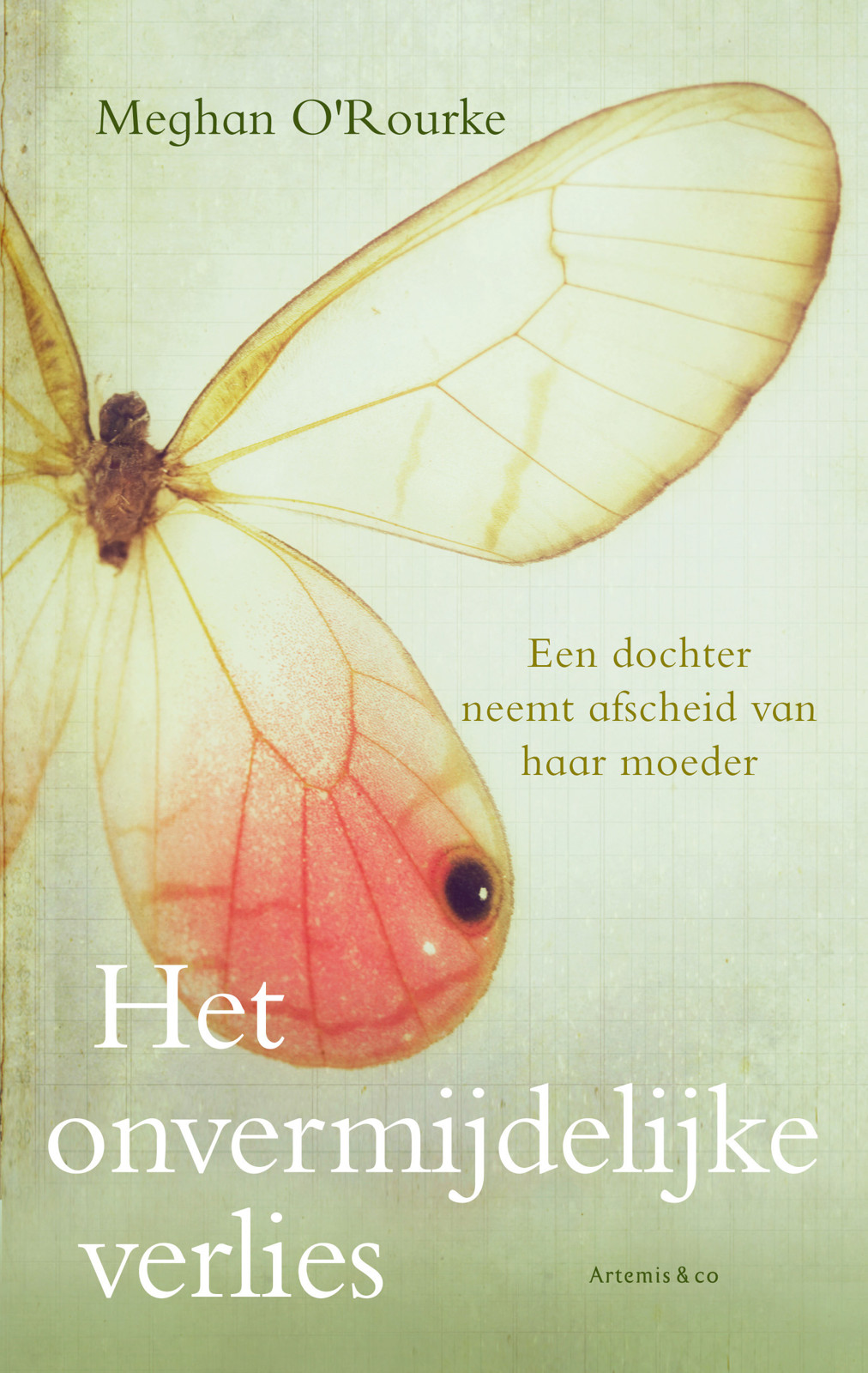 Het onvermijdelijke verlies