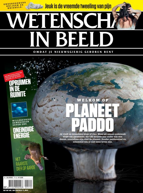 Wetenschap in Beeld