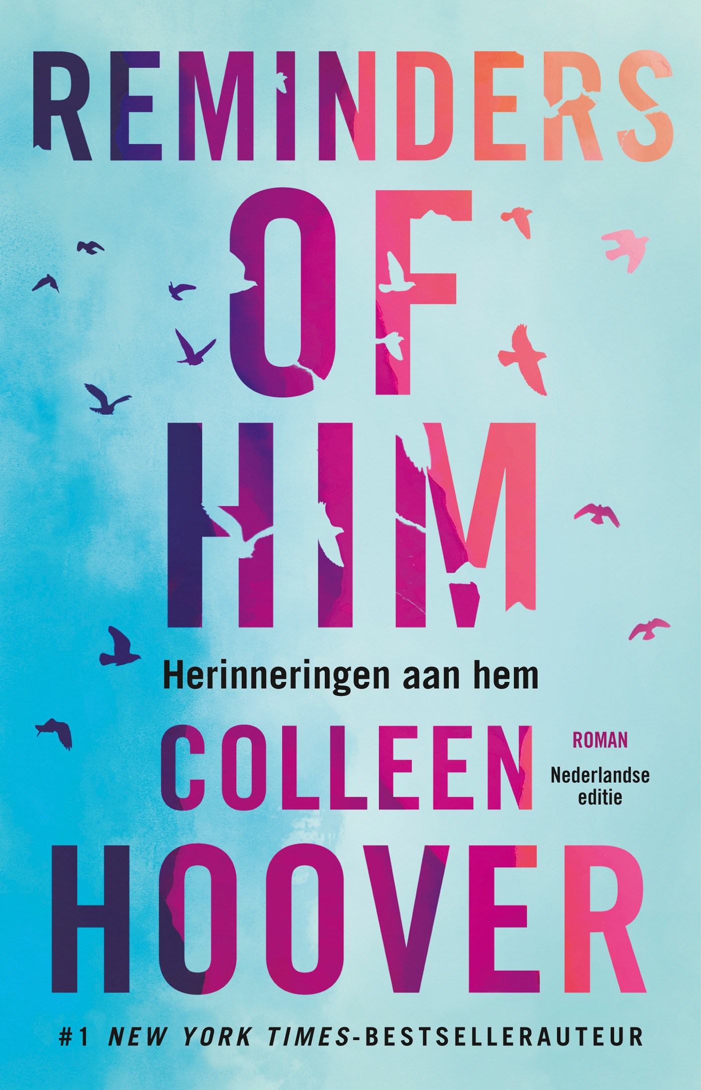 Reminders of him (Herinneringen aan hem)