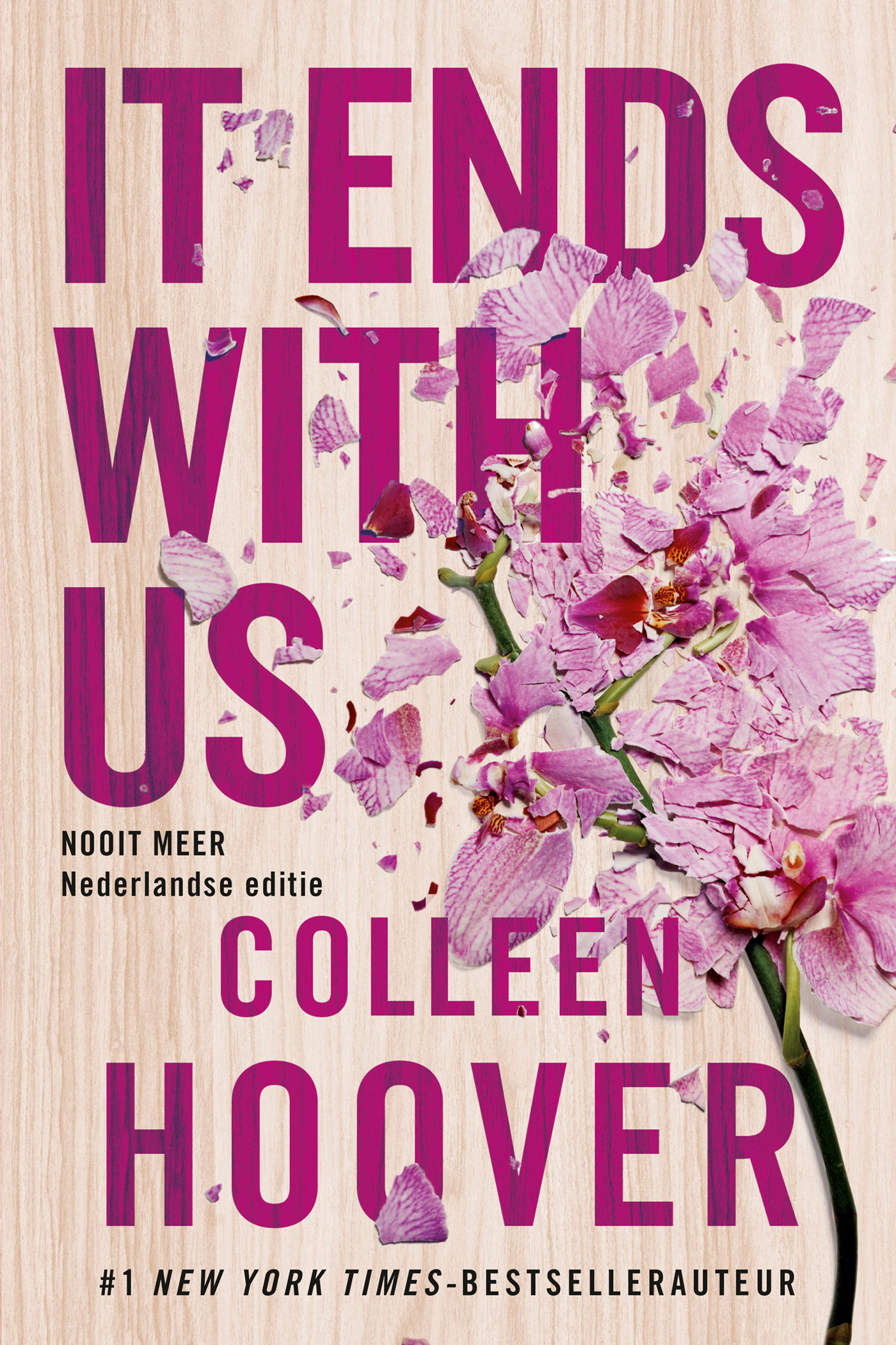 It ends with us - Nederlandse editie