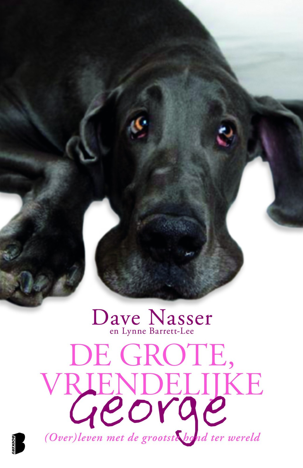 De grote, vriendelijke George