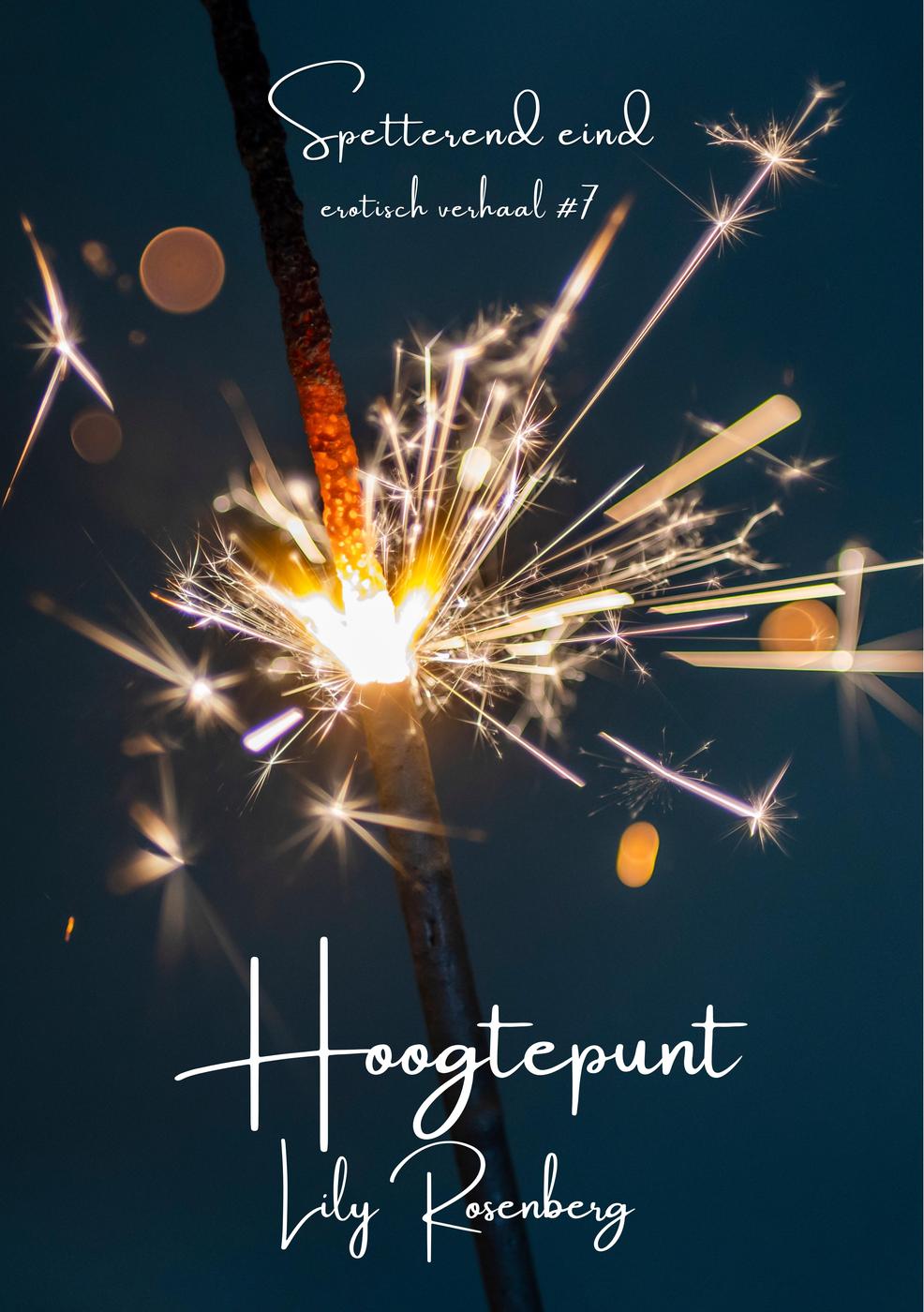 Hoogtepunt (Spetterend eind, #7)