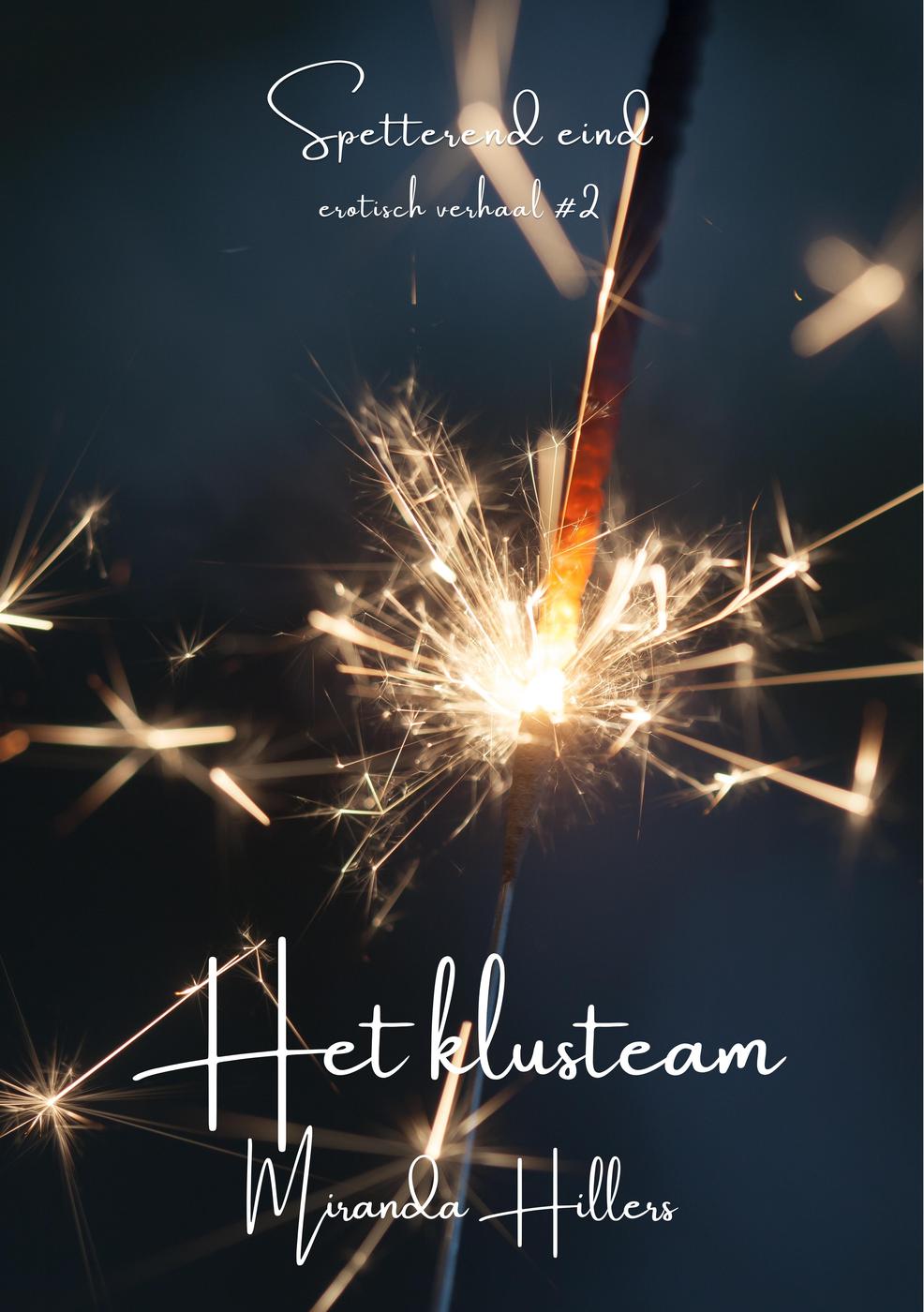 Het klusteam (Spetterend eind, #2)