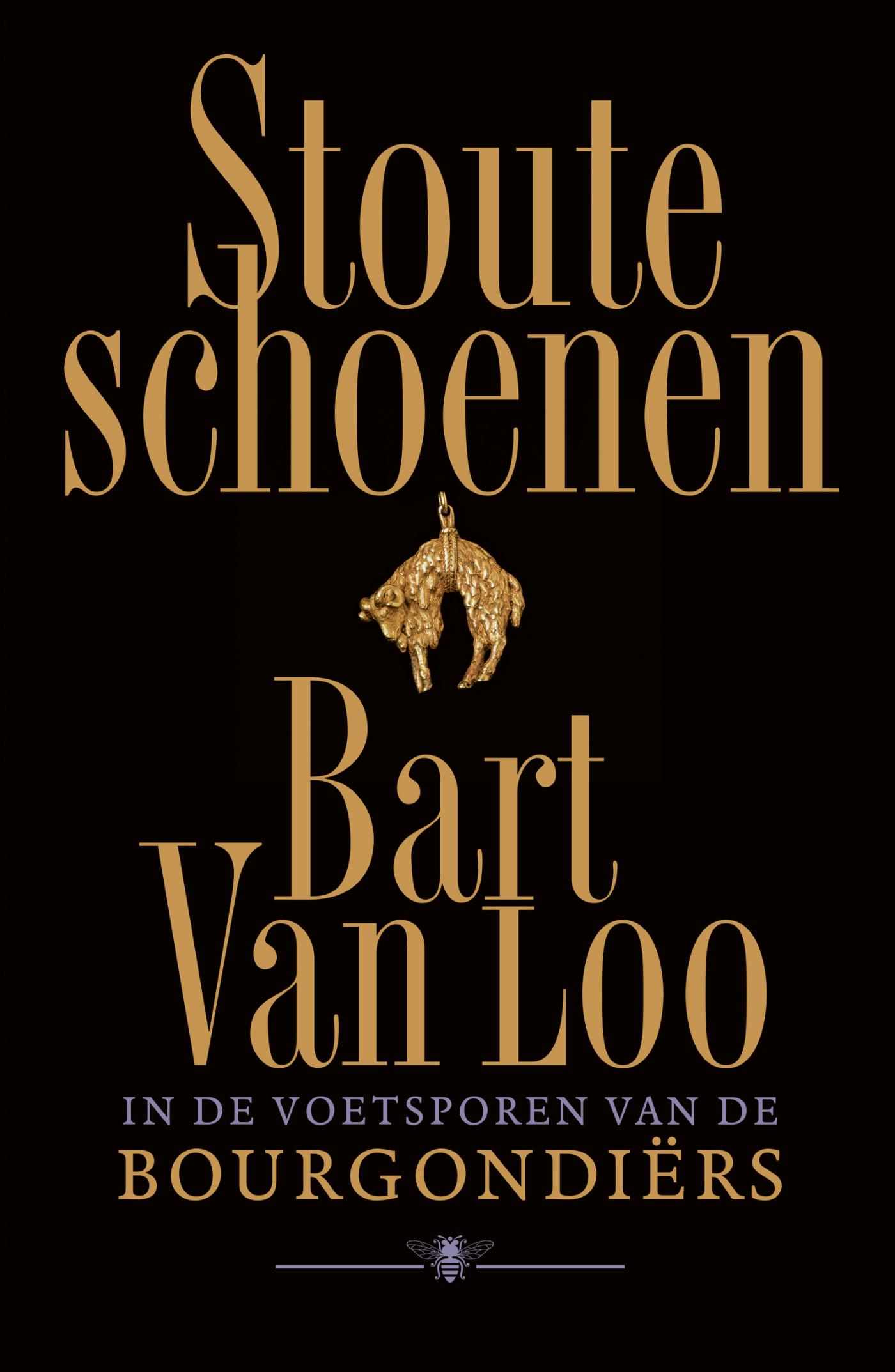 Stoute schoenen (Dutch Edition)