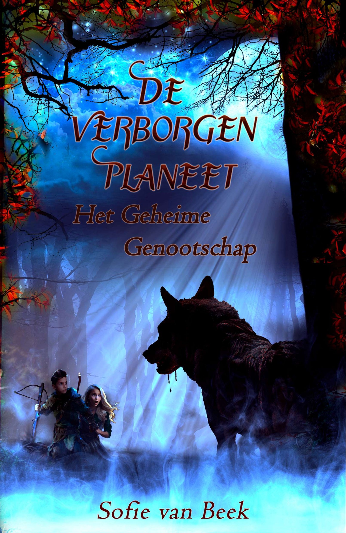 De verborgen planeet