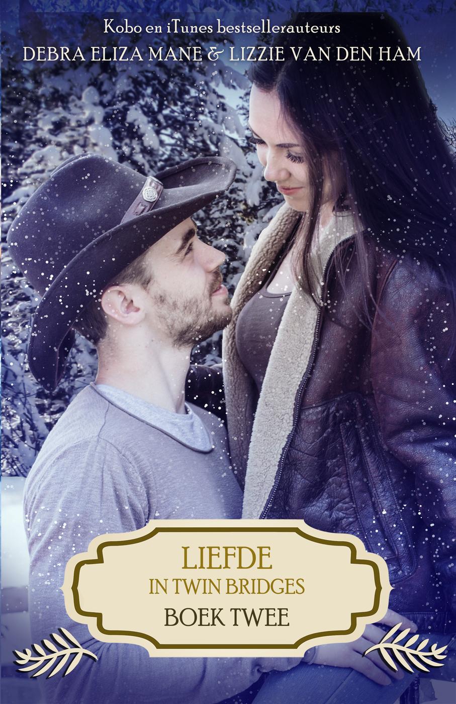 Liefde in Twin Bridges: boek twee