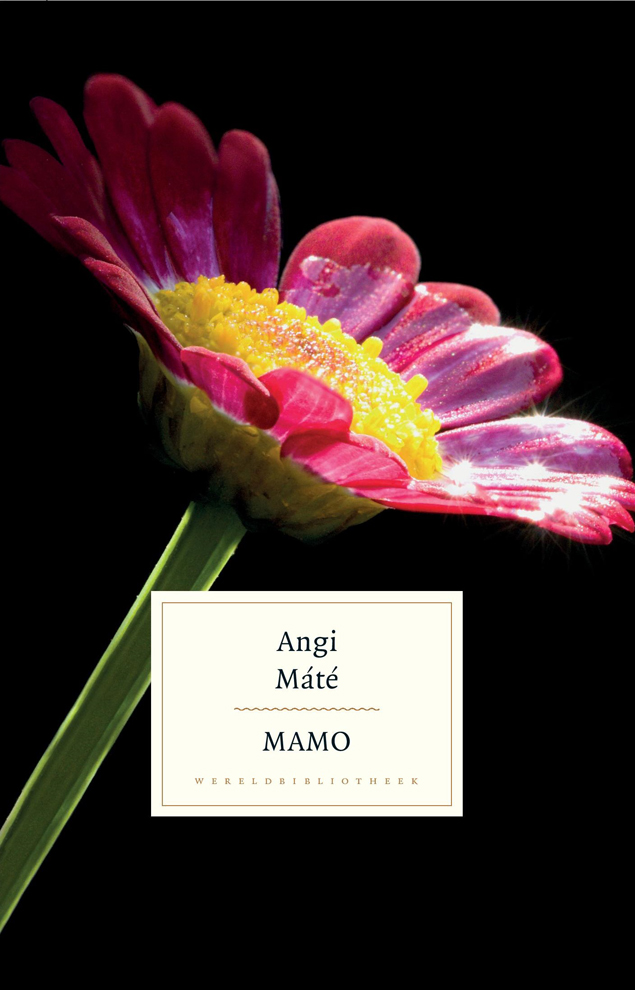 Mamo