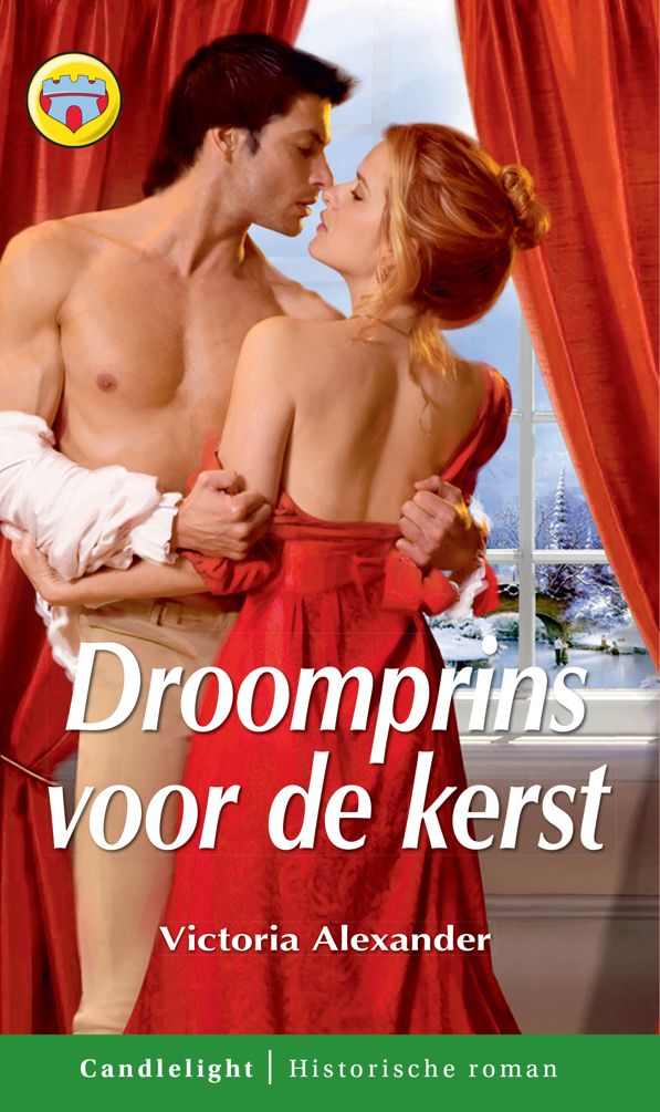 Droomprins voor de kerst