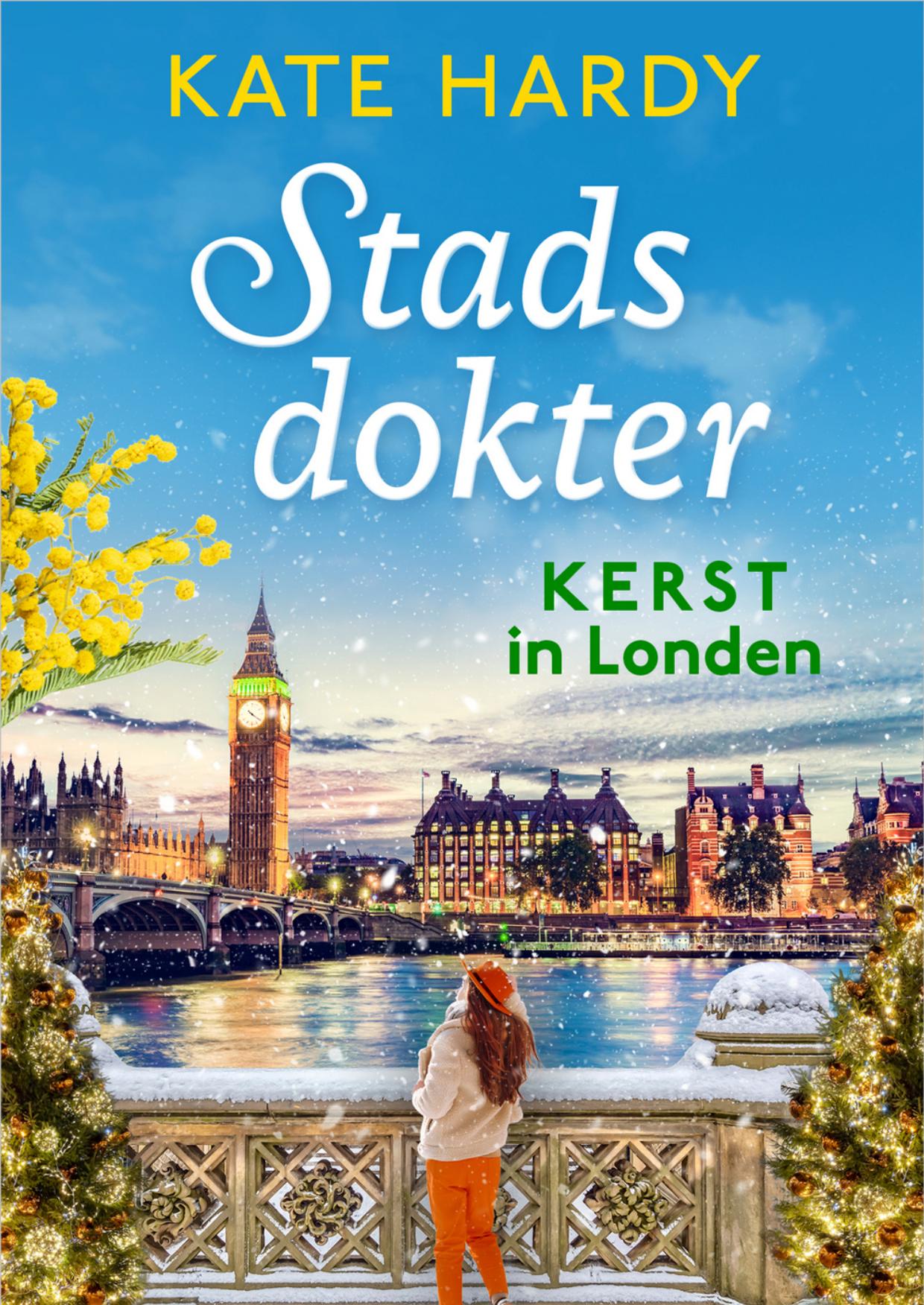 Stadsdokter 7 - Kerst in Londen