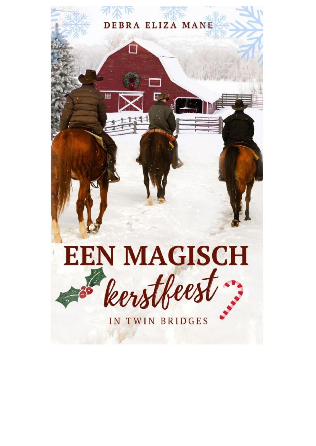 Een magisch kerstfeest in Twin Bridges