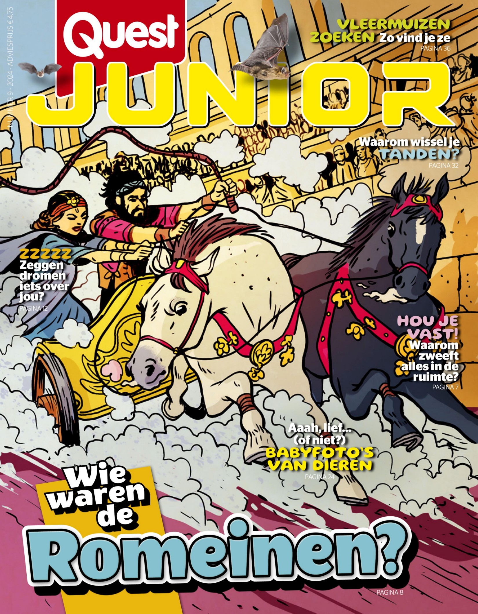 Quest Junior - Oktober 2024