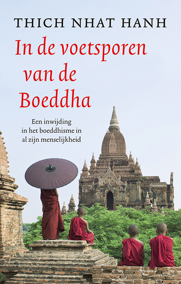 In de voetsporen van de Boeddha: Een inwijding in het boeddhisme in al zijn menselijkheid