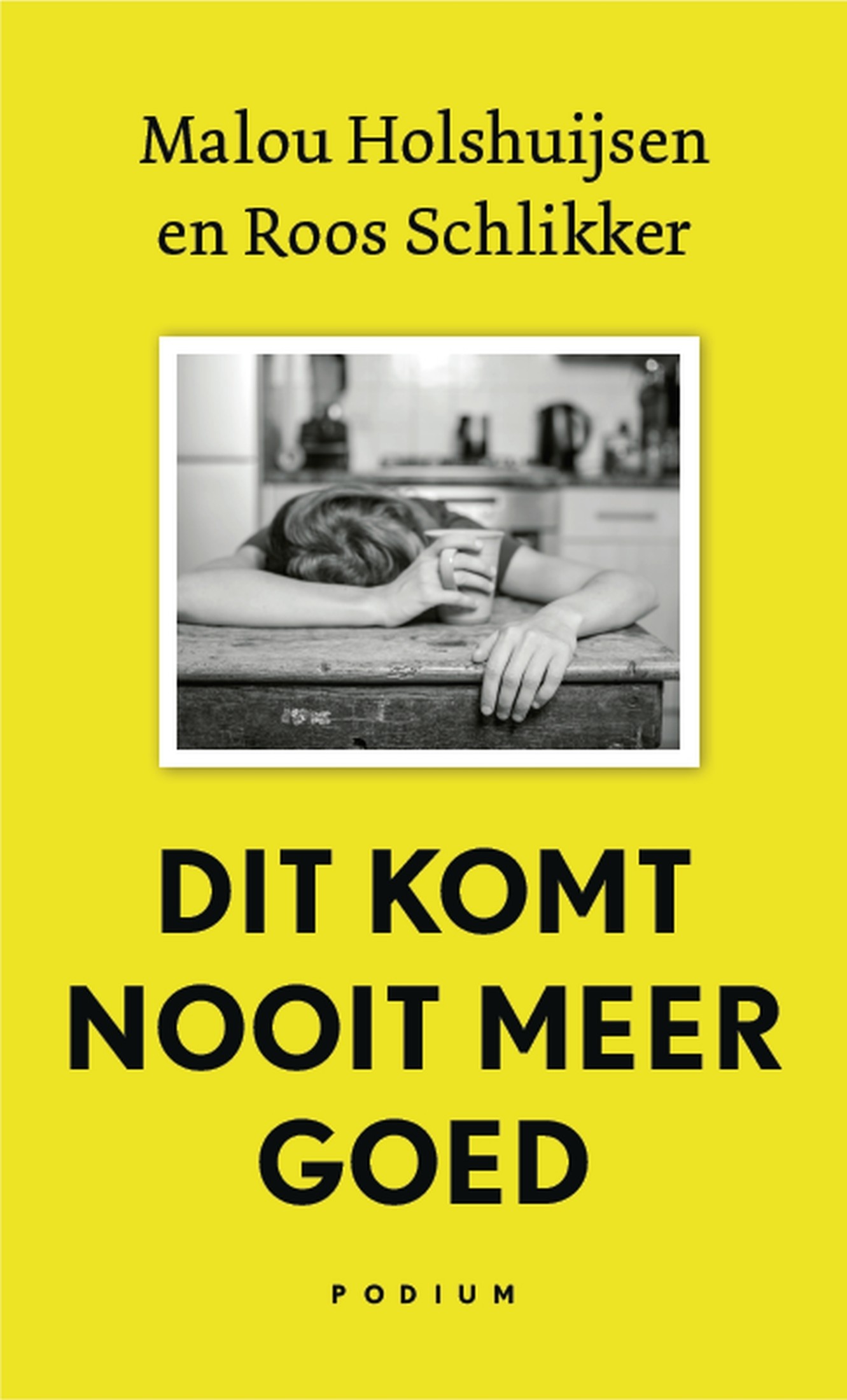 Dit komt nooit meer goed