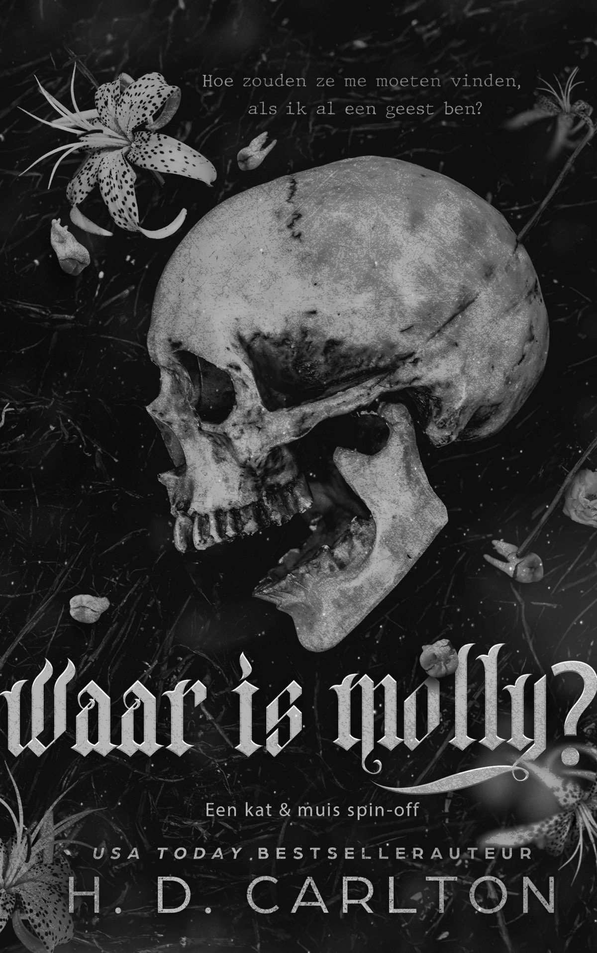 Waar is Molly?: Een kat & muis-spin off
