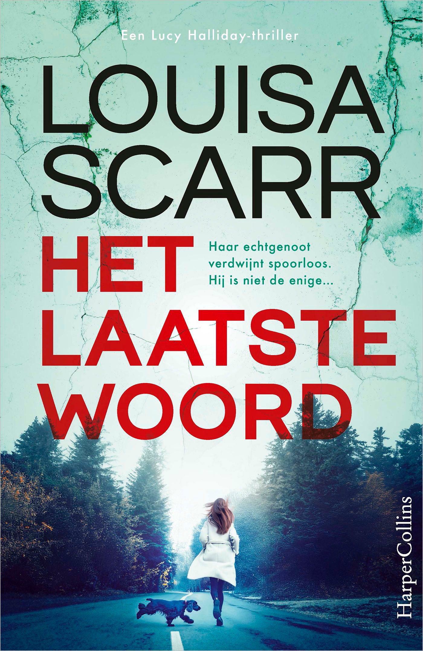 Het laatste woord - Lucy Halliday 1