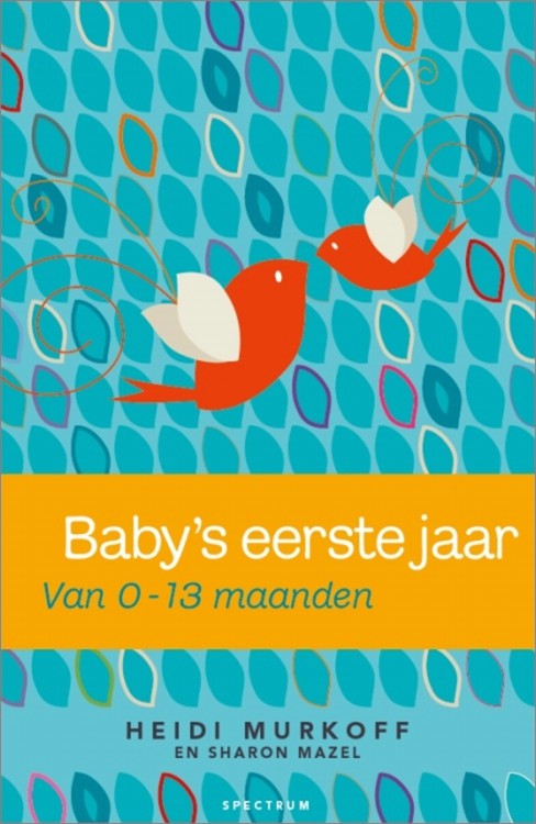 Baby's eerste jaar