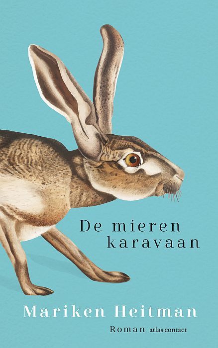 De mierenkaravaan