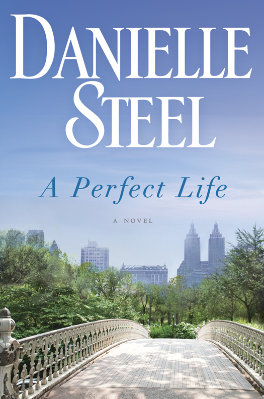 A Perfect Life: A Novel