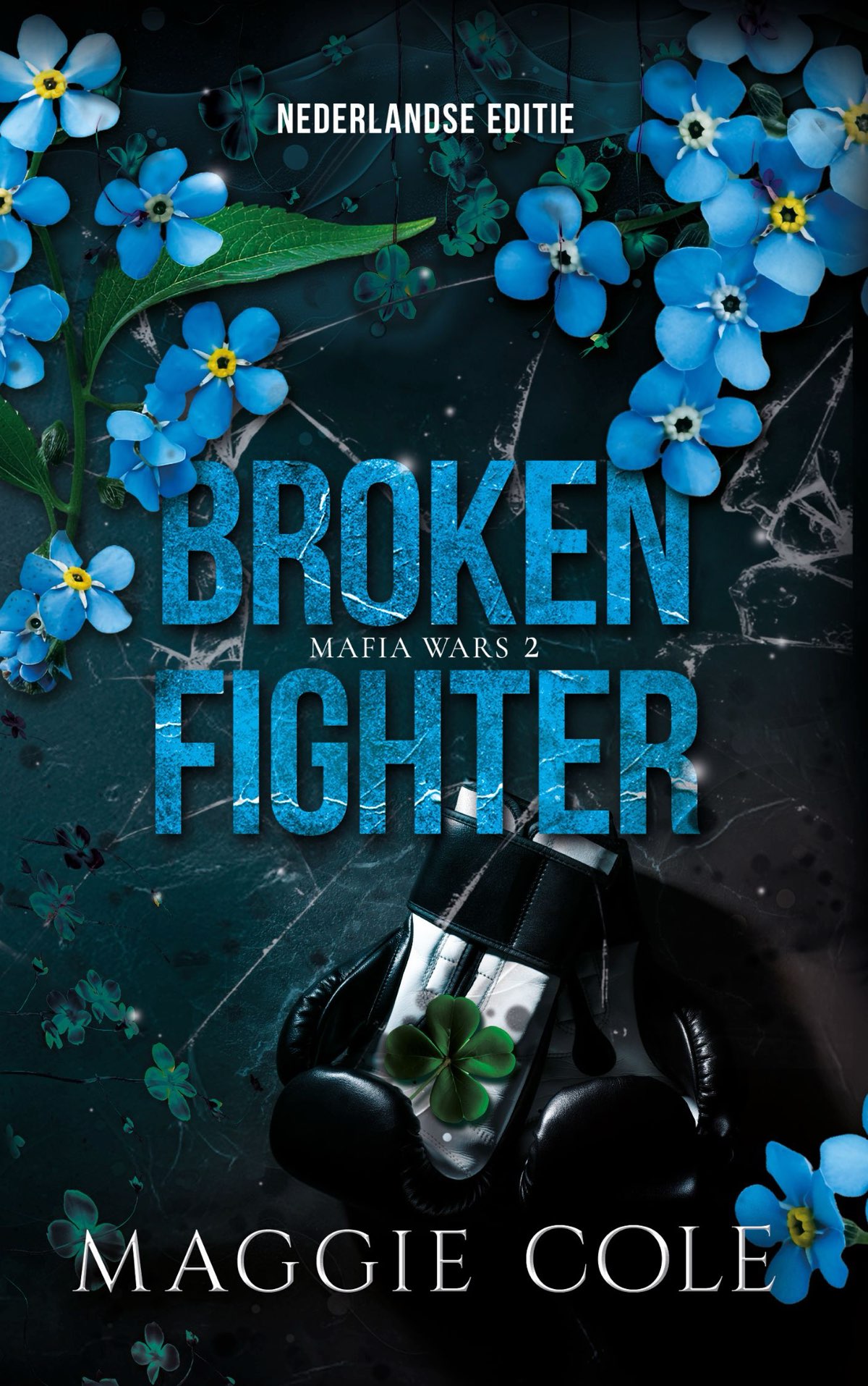 Broken fighter: Een dark maffia romance