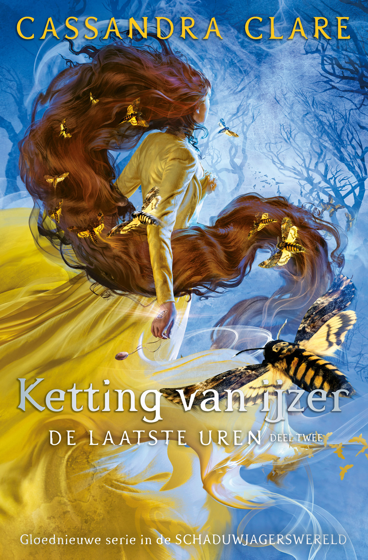 Ketting van ijzer