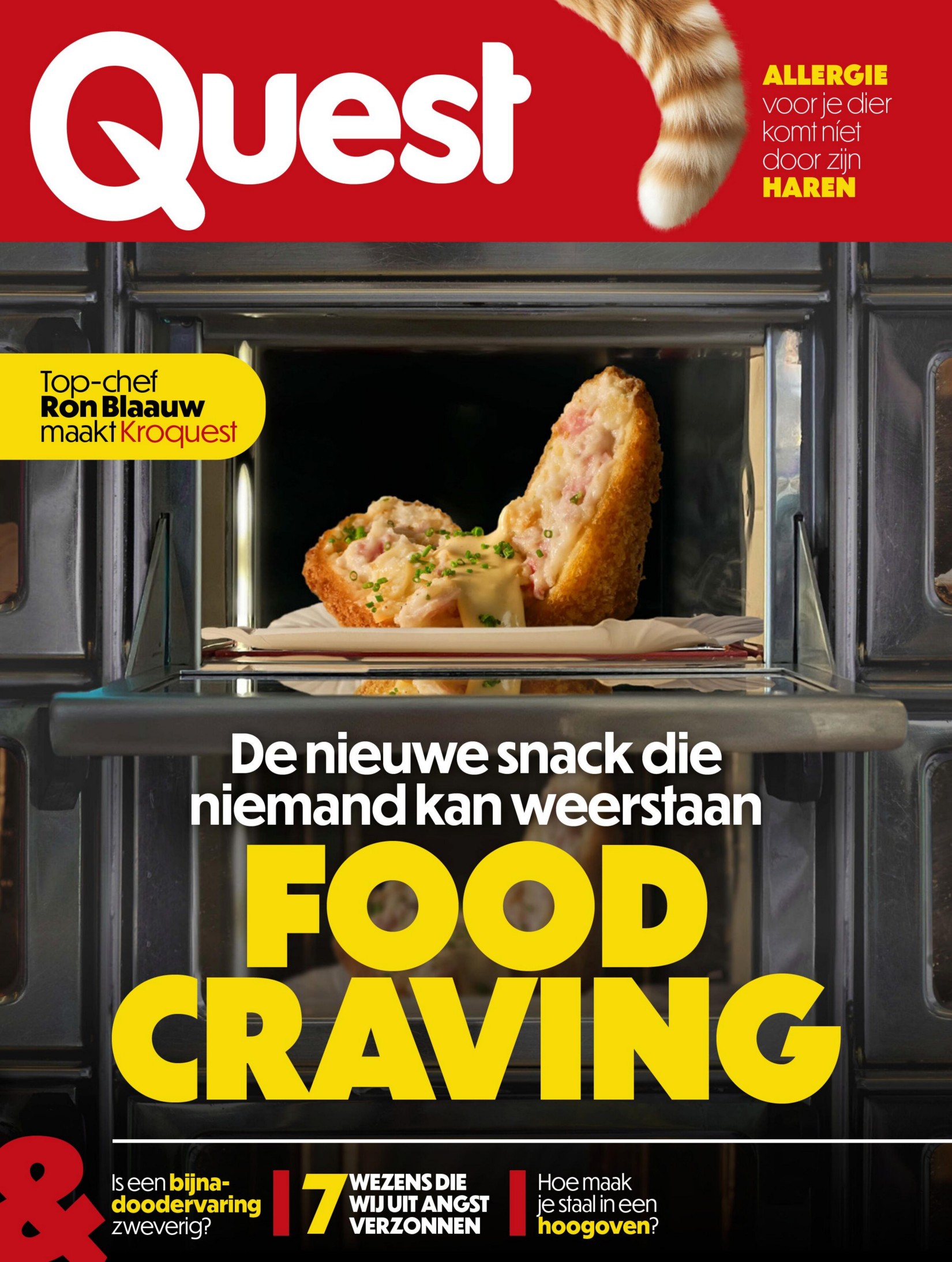 Quest - 29 April 2025