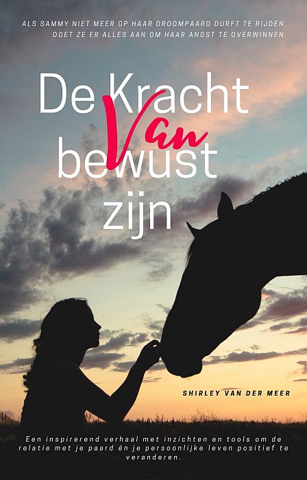 De Kracht van bewust zijn